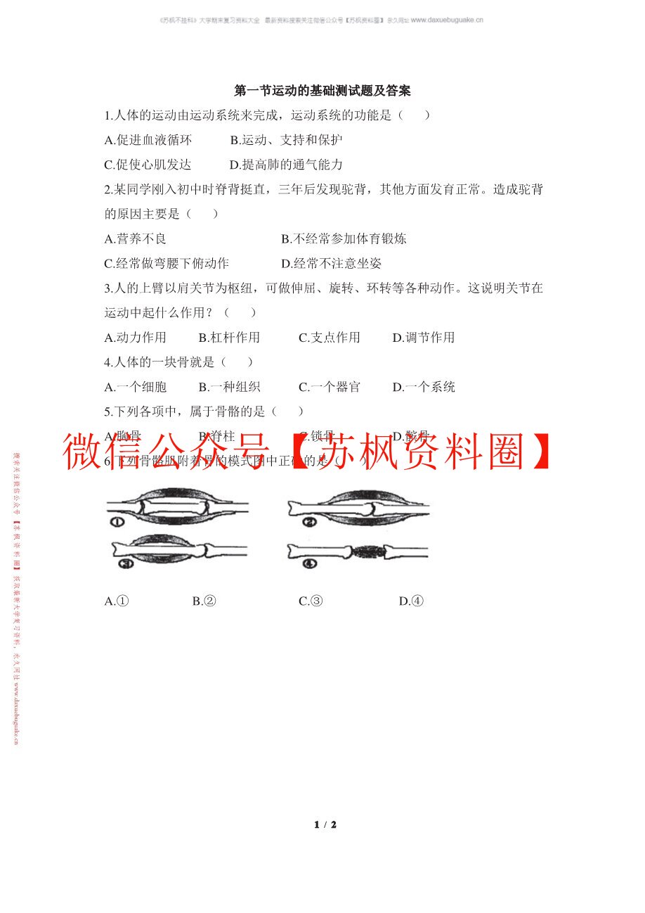 人体运动基础